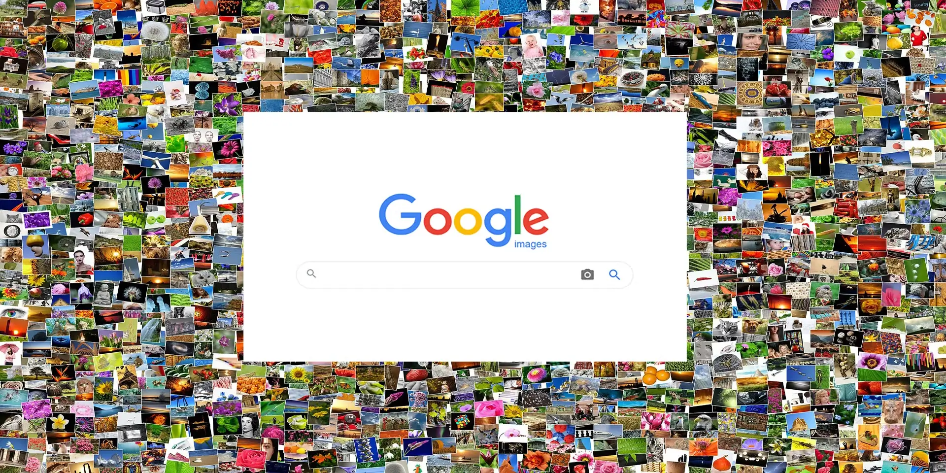 Tìm kiếm hình ảnh của Google
