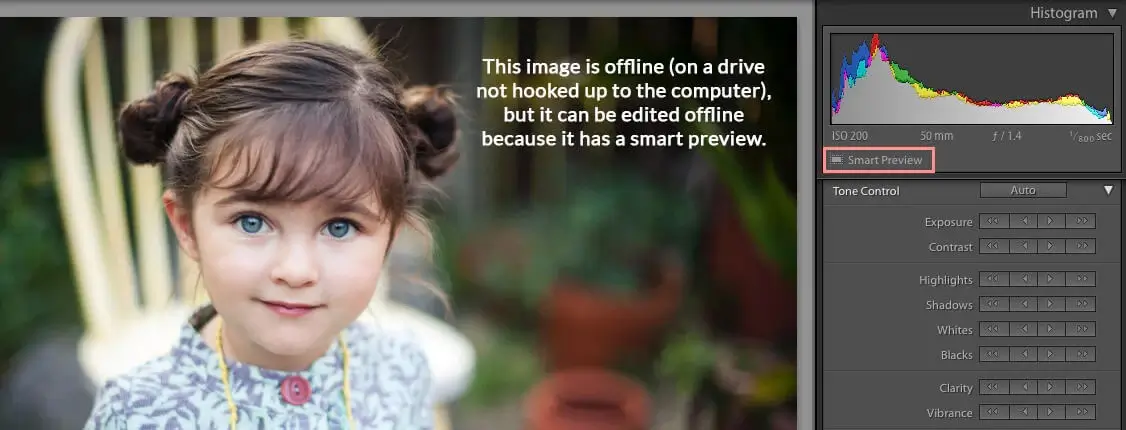 Lightroom - Smart Previews